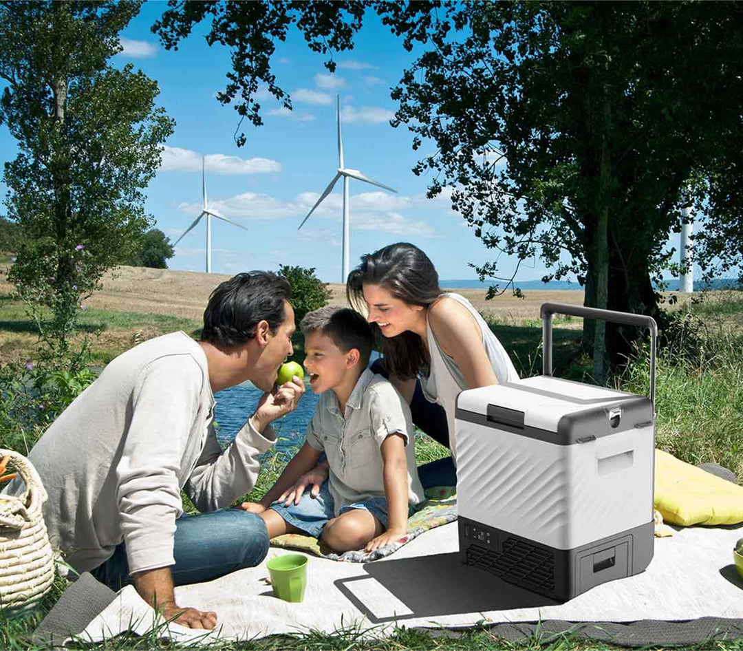 Alpicool P22 on sale